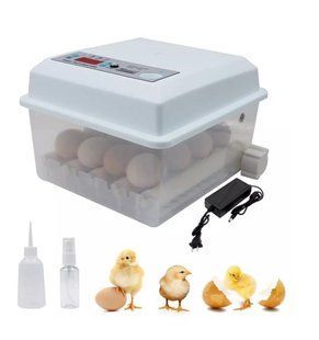 Incubator automat MS-16 (12V/ 220V) 254 foto