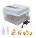 Incubator automat MS-16 (12V/ 220V) 254 foto 1