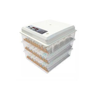 Incubator automat MS-176 (12V/220V) 261 foto