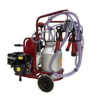 Aparat de muls vaci, 2 posturi, 1 bidon 40L aluminiu, pahare plastic, 250l/min, 0,55kW si motor termic 8680640071749 foto