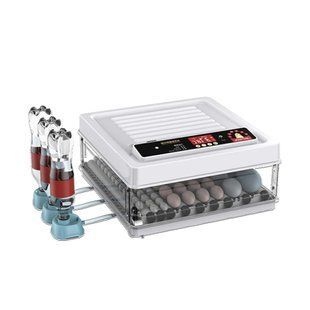 Incubator automat MS - 70 MS-70 foto