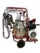 Aparat de muls vaci, 2 posturi, 2 bidoane 30l inox, pahare inox, 250l/min, 0,55kW și motor termic 8680640119434 foto 2