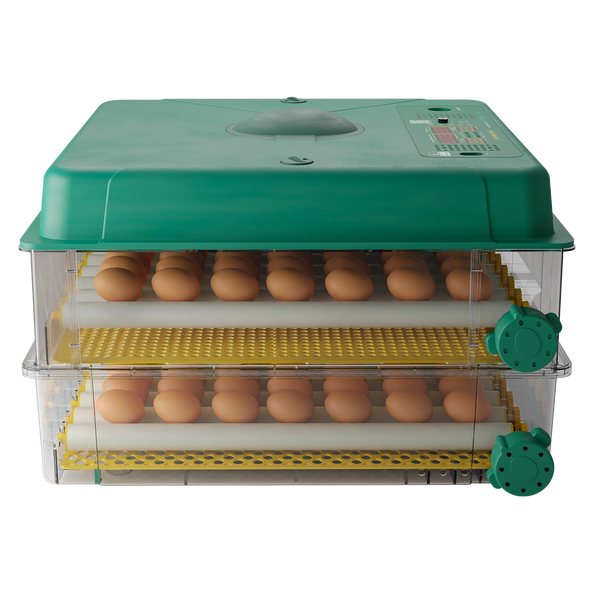 Incubator de oua ECO PROFI C-140 C-140 foto